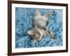 Yarnie-Rachael Hale-Framed Art Print