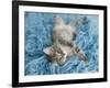 Yarnie-Rachael Hale-Framed Art Print