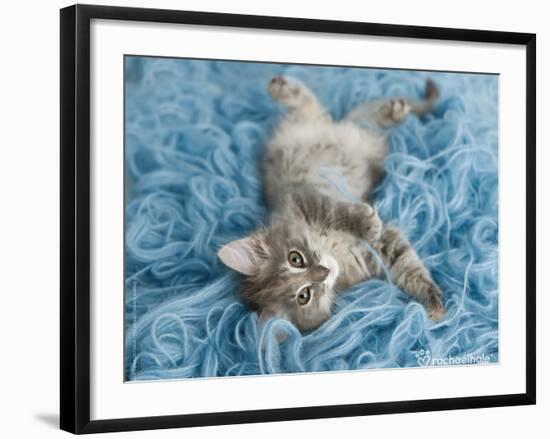 Yarnie-Rachael Hale-Framed Art Print