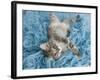 Yarnie-Rachael Hale-Framed Art Print