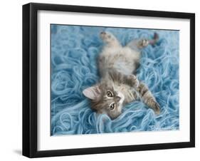 Yarnie-Rachael Hale-Framed Art Print