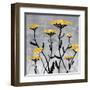 Yarrow Blooms-Bee Sturgis-Framed Art Print