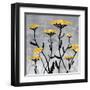 Yarrow Blooms-Bee Sturgis-Framed Art Print