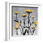 Yarrow Blooms-Bee Sturgis-Framed Art Print