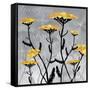 Yarrow Blooms-Bee Sturgis-Framed Stretched Canvas