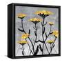 Yarrow Blooms-Bee Sturgis-Framed Stretched Canvas