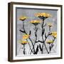 Yarrow Blooms-Bee Sturgis-Framed Art Print