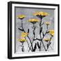 Yarrow Blooms-Bee Sturgis-Framed Art Print