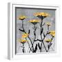 Yarrow Blooms-Bee Sturgis-Framed Art Print