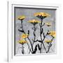 Yarrow Blooms-Bee Sturgis-Framed Art Print