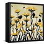 Yarrow Fields-Bee Sturgis-Framed Stretched Canvas