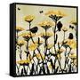 Yarrow Fields-Bee Sturgis-Framed Stretched Canvas