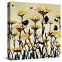 Yarrow Fields-Bee Sturgis-Stretched Canvas