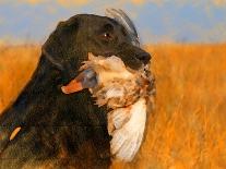 Oil Painting Portrait Of Black Labrador With Duck-Yarvet-Laminated Art Print