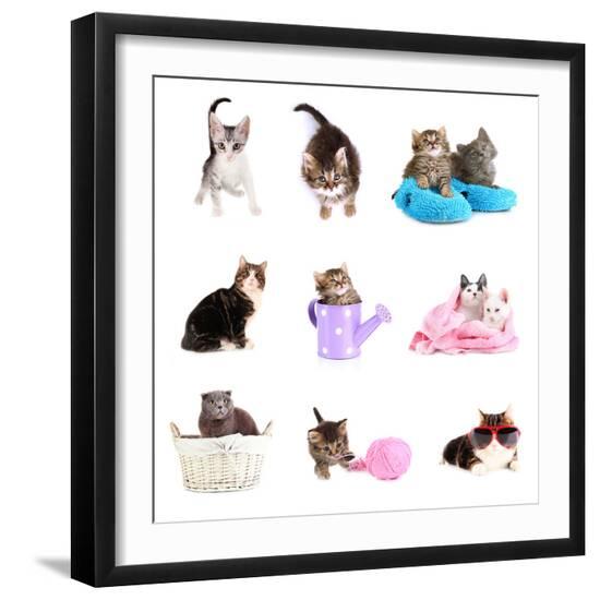 Photographic Print, , large