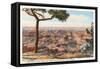 Yavapai, Grand Canyon-null-Framed Stretched Canvas