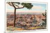 Yavapai, Grand Canyon-null-Mounted Premium Giclee Print