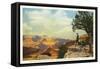 Yavapai Point, Grand Canyon-null-Framed Stretched Canvas