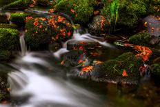 Autumn Melodies-Yavuz Pancareken-Framed Stretched Canvas