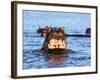 Yawning hippo, Isimangaliso Greater St. Lucia Wetland Pk, UNESCO World Heritage Site, South Africa-Christian Kober-Framed Photographic Print