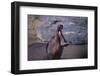 Yawning Hippopotamus-DLILLC-Framed Premium Photographic Print