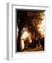 Yayo-Craig Satterlee-Framed Premium Photographic Print