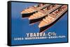 Ybarra and Company Mediterranean-Brazil-Plata Cruise Line-Flos-Framed Stretched Canvas