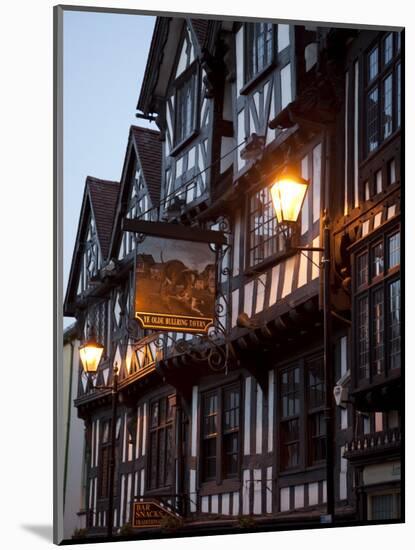 Ye Old Bullring Tavern Public House Dating from 14th Century, at Night, Ludlow, Shropshire, England-Nick Servian-Mounted Photographic Print