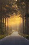 Pursuing the Light at the end of the Road-Ye-Framed Stretched Canvas
