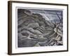 Year of Our Lord 1917, British Artists at the Front, Continuation of the Western Front, Nash, 1918-Paul Nash-Framed Giclee Print