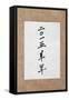 Year of the Goat 2015 Chinese Calligraphy Script Symbol on Rice Paper. Translation Reads as Year Of-marilyna-Framed Stretched Canvas