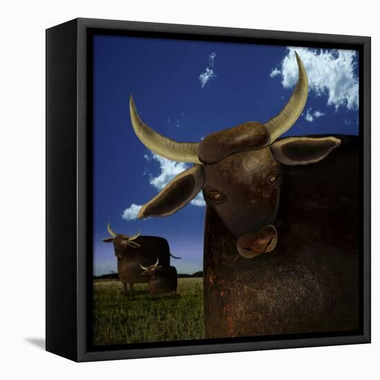 Year of the Ox-Carrie Webster-Framed Stretched Canvas