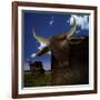 Year of the Ox-Carrie Webster-Framed Giclee Print