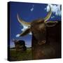 Year of the Ox-Carrie Webster-Stretched Canvas