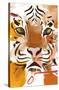 Year Of The Tiger-Trends International-Stretched Canvas