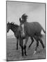 Yearlings Playing Together in the Paddock at Marcel Boussac's Stud Farm and Stables-Lisa Larsen-Mounted Photographic Print