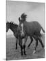 Yearlings Playing Together in the Paddock at Marcel Boussac's Stud Farm and Stables-Lisa Larsen-Mounted Photographic Print