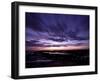 Yearning-Doug Chinnery-Framed Photographic Print