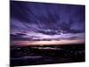 Yearning-Doug Chinnery-Mounted Photographic Print