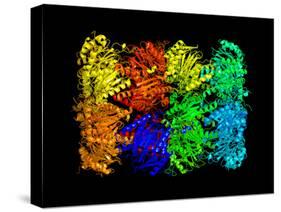 Yeast Enzyme, Molecular Model-Laguna Design-Stretched Canvas