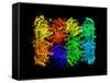 Yeast Enzyme, Molecular Model-Laguna Design-Framed Stretched Canvas