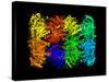 Yeast Enzyme, Molecular Model-Laguna Design-Stretched Canvas