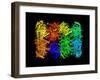 Yeast Enzyme, Molecular Model-Laguna Design-Framed Photographic Print