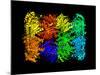 Yeast Enzyme, Molecular Model-Laguna Design-Mounted Photographic Print