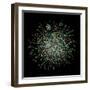 Yeast Protein Interaction Map-Hawoong Jeong-Framed Premium Photographic Print