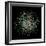 Yeast Protein Interaction Map-Hawoong Jeong-Framed Premium Photographic Print