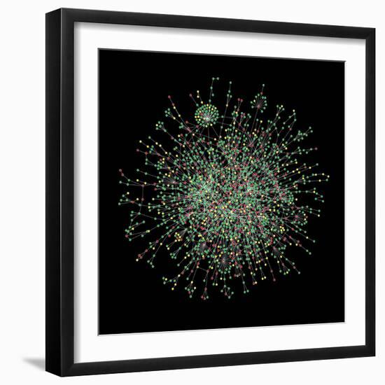 Yeast Protein Interaction Map-Hawoong Jeong-Framed Premium Photographic Print