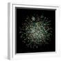 Yeast Protein Interaction Map-Hawoong Jeong-Framed Premium Photographic Print