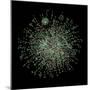 Yeast Protein Interaction Map-Hawoong Jeong-Mounted Premium Photographic Print