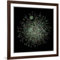 Yeast Protein Interaction Map-Hawoong Jeong-Framed Photographic Print
